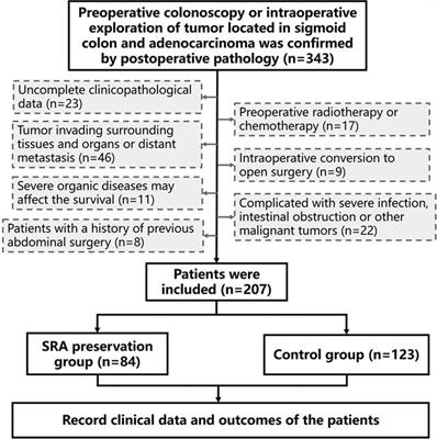 Feasibility of preservation of superior rectal artery plus dissection of lymph nodes around inferior mesenteric artery in laparoscopic resection for sigmoid colon cancer